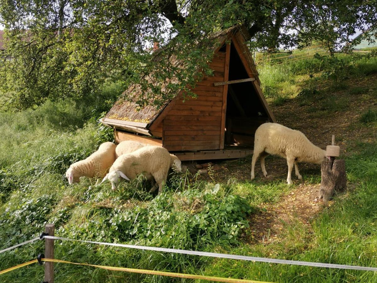 Camping Silva Ljutomer Exteriér fotografie