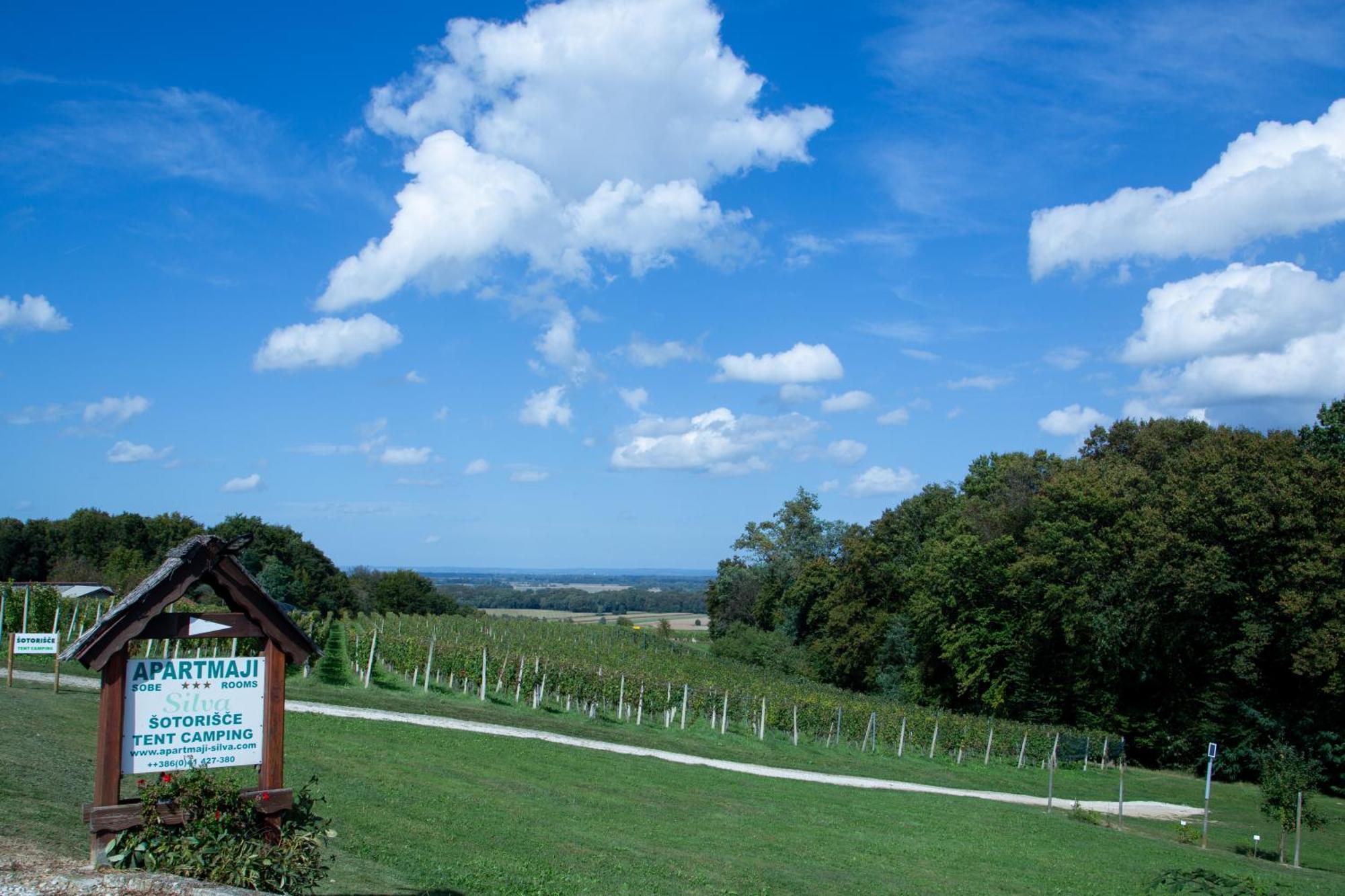 Camping Silva Ljutomer Exteriér fotografie