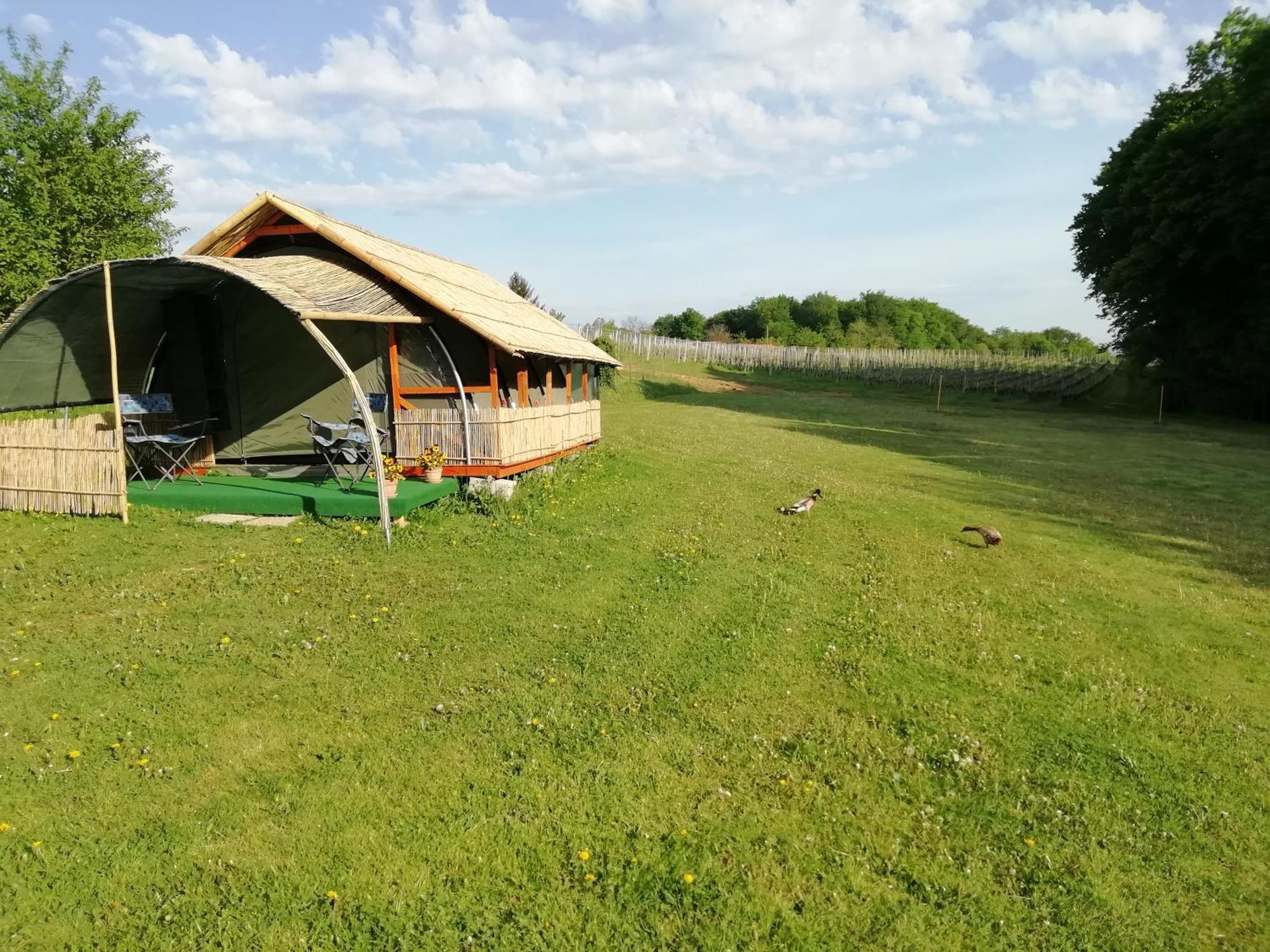 Camping Silva Ljutomer Exteriér fotografie